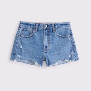 Abercrombie & Fitch Curve Love High Rise Mom Short 28 NWT